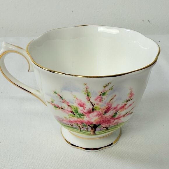 Royal Albert Bone China “Blossom Time” Set - Picture 9 of 12